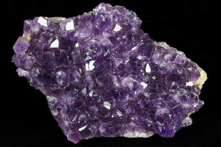 Dark Purple Amethyst Cluster - Uruguay #77000